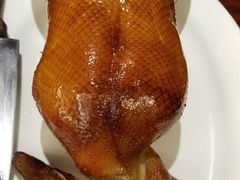 -东方御宴海鲜酒楼(棕泉酒店)