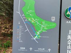 -上海佘山国家森林公园东门地面停车场