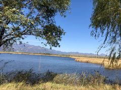 -野鸭湖国家湿地公园