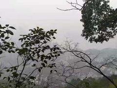 -南山植物园