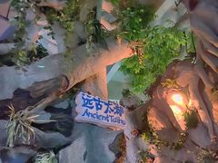 -苏州海洋馆