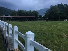 -瑞穗牧场