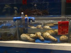 -北塘海鲜·天津菜(大光明桥旗舰店)