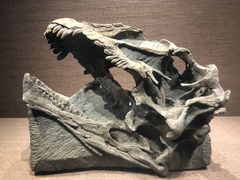 -自贡恐龙博物馆