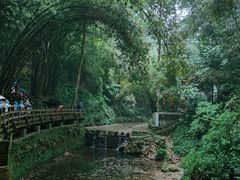 -凤栖山
