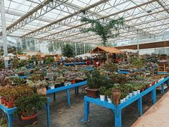 -三圣花乡旅游区