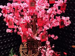 -广州富力君悦大酒店·凯菲厅