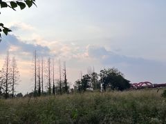 -国际非物质文化遗产博览园