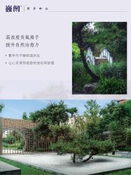 -巍阁月子中心(国贸店)
