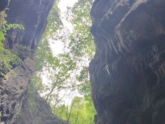 -牛背梁国家森林公园