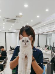 点击看大图 -镁连社·美联社
