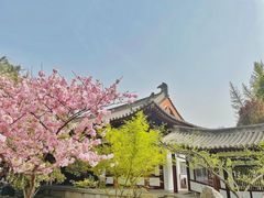 -西安青龙寺遗址景区