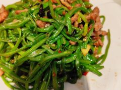 -紫光园·烤鸭·北京菜(团结湖店)