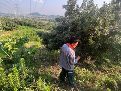 -杭州屏风山越野车营地·团建别墅轰趴民宿