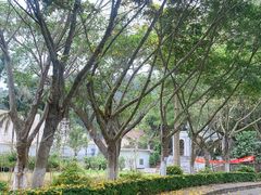 -滴水岩森林公园