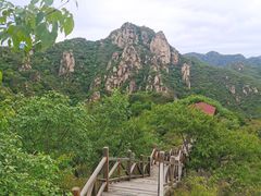 -大岭沟猕猴桃谷风景区
