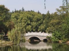 -月湖风景区