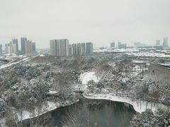 -圩墩遗址公园