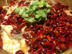 东房沸水鱼-高宅(万达店)
