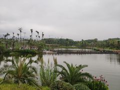 -枫香湖儿童公园