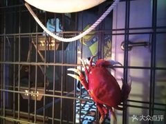 -胖哥俩肉蟹煲(世茂国际广场店)