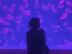 -波塞冬海底世界