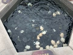-息烽温泉