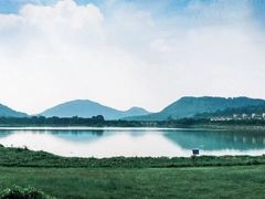 -风云岭森林公园