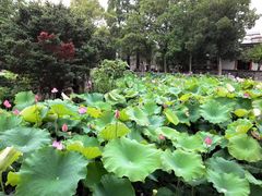 -丝绸小镇荻港古村