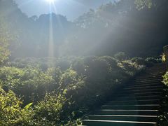-西湖风景区十里琅珰-五云山