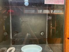 -上海大自然野生昆虫馆(东方明珠·爬宠昆虫探索中心)