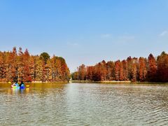 -上海海湾国家森林公园