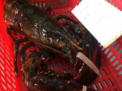 -蚝专家(北滘店)
