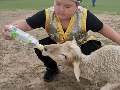 -额尔古纳黑山头绿野马帮骑马场