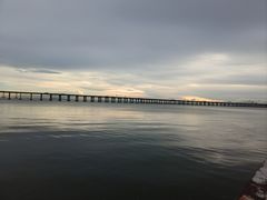 -宝安西湾红树林湿地公园