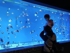 -大连圣亚海洋世界