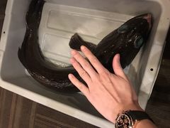 -春秋火锅