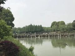 -恋山坝上草原