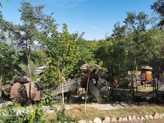 -欢乐松鼠谷