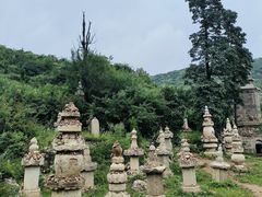 -金灯寺
