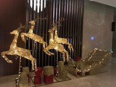 -上海嘉定喜来登酒店