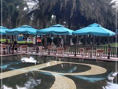 -三亚海棠湾万丽度假酒店