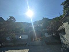 -阳台山自然风景区