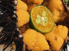-日月昇渔家菜·海肠捞饭·大连海鲜(星海公园店)