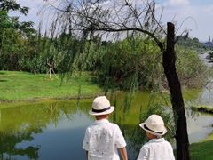 -松山湖南湖湾露营营地