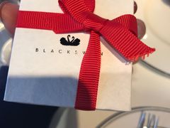 -BLACKSWAN黑天鹅(环球店)