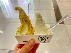 -野人先生Gelato(上海长宁龙之梦店)
