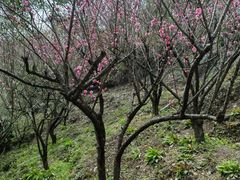 -宁波市保国寺古建筑博物馆