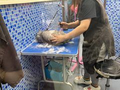 -瑞鹏宠物医院·宠保定点·心脏科·内科(御桥分院)