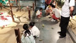 -酷嗒动物文化乐园(cutezoo西溪乐天城店)